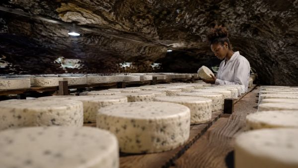 Pourquoi visiter les caves de Roquefort pour vivre une expérience unique